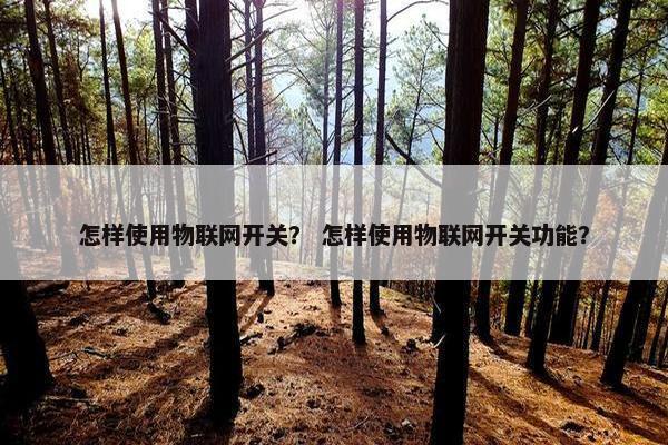 怎样使用物联网开关？ 怎样使用物联网开关功能？