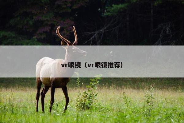 vr眼镜（vr眼镜推荐）