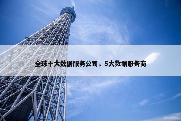 全球十大数据服务公司，5大数据服务商