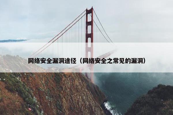 网络安全漏洞途径（网络安全之常见的漏洞）