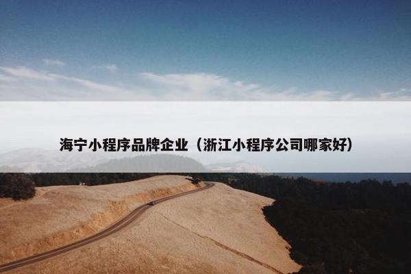 海宁小程序品牌企业（浙江小程序公司哪家好）