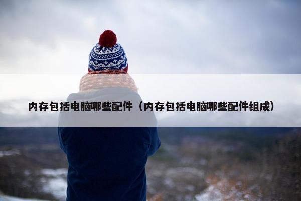 内存包括电脑哪些配件（内存包括电脑哪些配件组成）