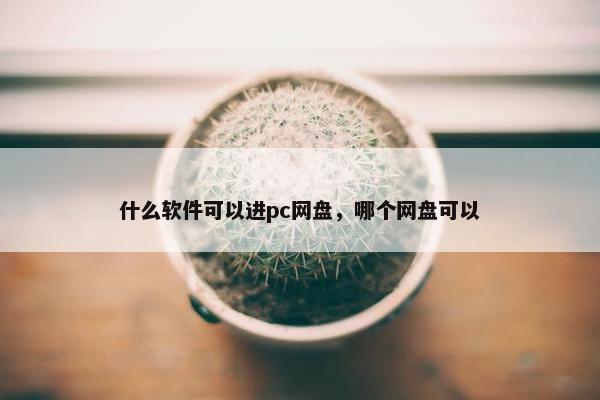 什么软件可以进pc网盘，哪个网盘可以