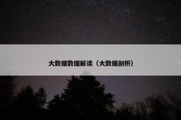 大数据数据解读（大数据剖析）