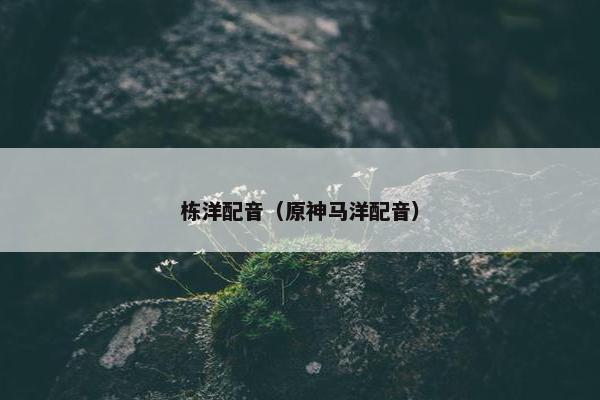 栋洋配音（原神马洋配音）