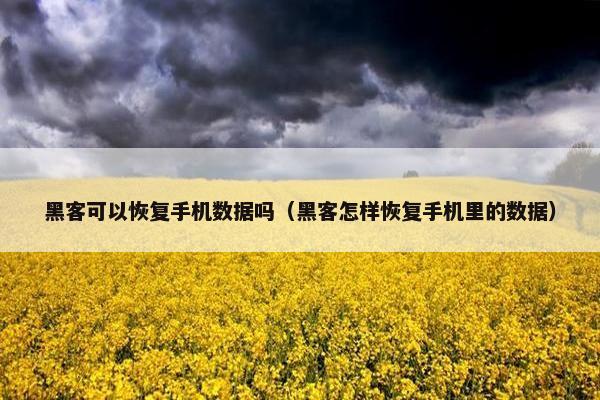 黑客可以恢复手机数据吗（黑客怎样恢复手机里的数据）