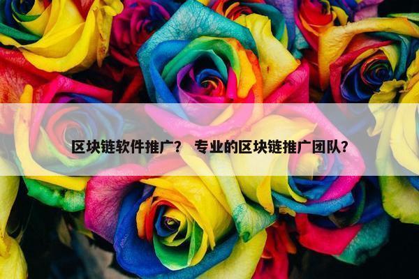 区块链软件推广？ 专业的区块链推广团队？