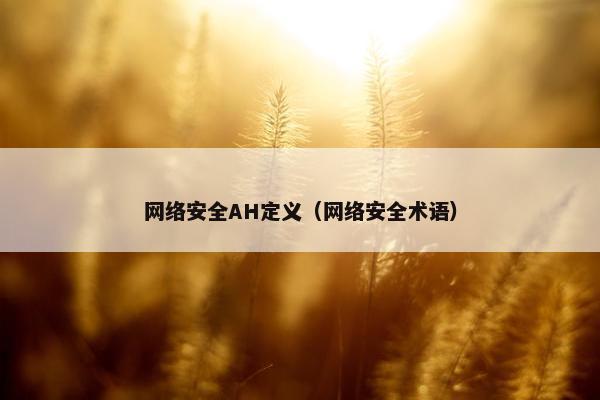 网络安全AH定义（网络安全术语）