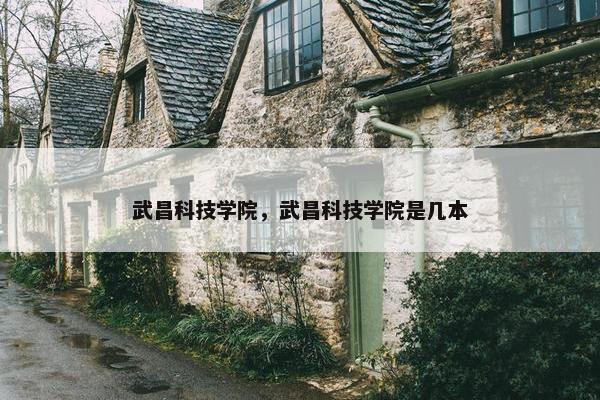武昌科技学院，武昌科技学院是几本
