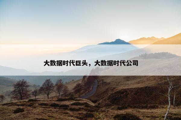 大数据时代巨头，大数据时代公司