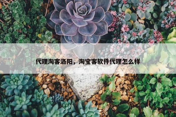 代理淘客洛阳，淘宝客软件代理怎么样