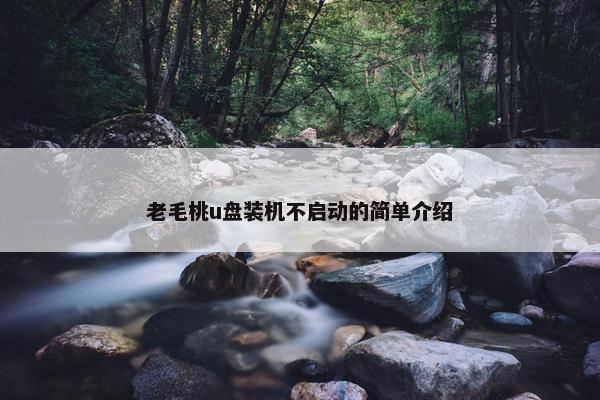 老毛桃u盘装机不启动的简单介绍