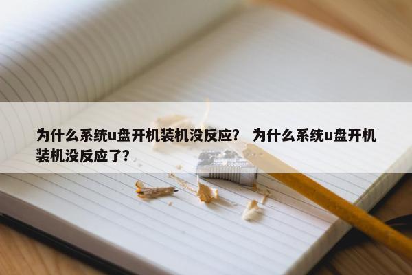 为什么系统u盘开机装机没反应？ 为什么系统u盘开机装机没反应了？