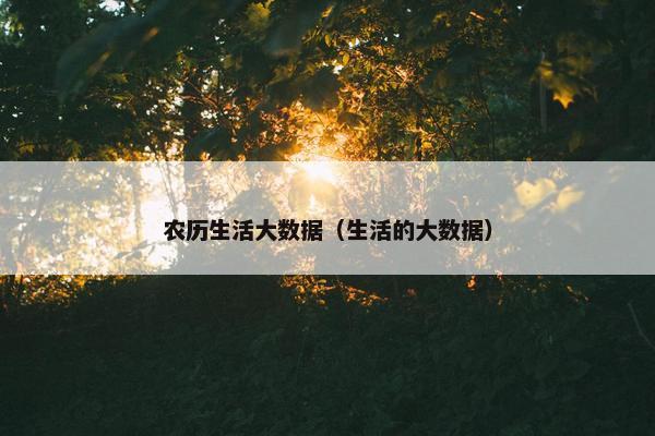 农历生活大数据（生活的大数据）