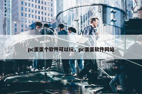 pc蛋蛋个软件可以玩，pc蛋蛋软件网站