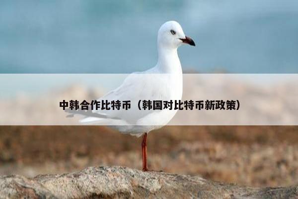中韩合作比特币（韩国对比特币新政策）