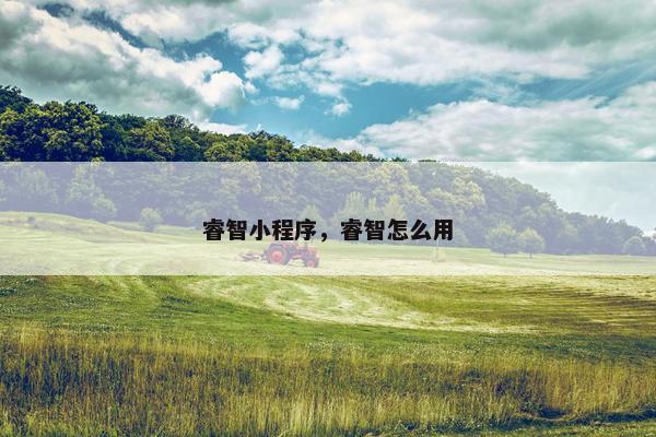 睿智小程序，睿智怎么用