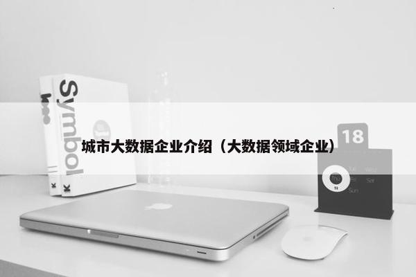城市大数据企业介绍（大数据领域企业）