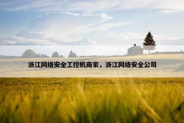 浙江网络安全工控机商家，浙江网络安全公司