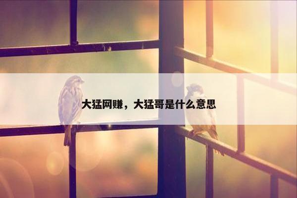 大猛网赚，大猛哥是什么意思