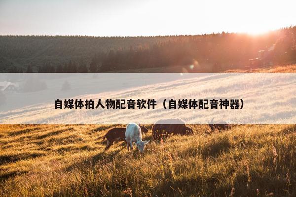 自媒体拍人物配音软件（自媒体配音神器）