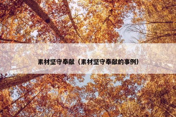 素材坚守奉献（素材坚守奉献的事例）