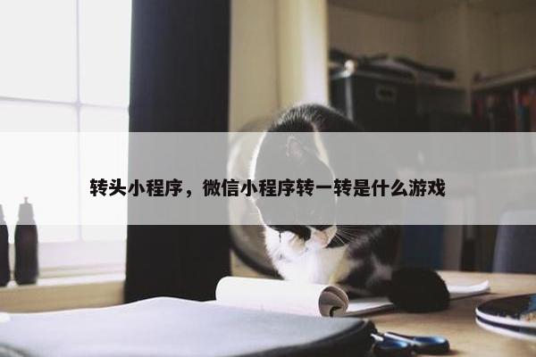 转头小程序，微信小程序转一转是什么游戏