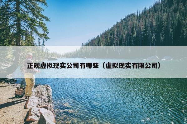 正规虚拟现实公司有哪些（虚拟现实有限公司）