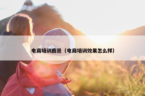 电商培训鹿邑（电商培训效果怎么样）