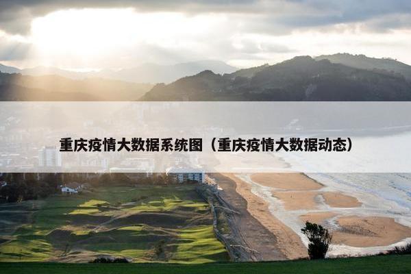 重庆疫情大数据系统图（重庆疫情大数据动态）