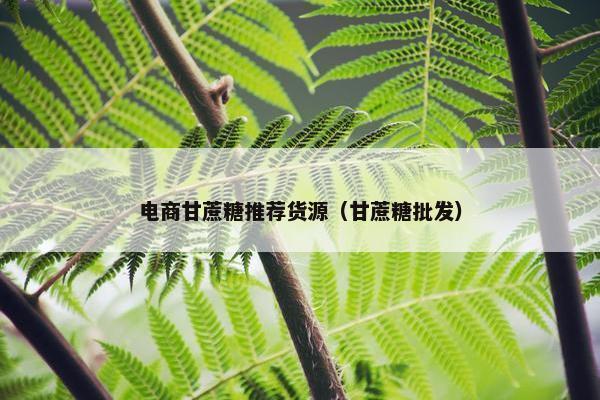 电商甘蔗糖推荐货源（甘蔗糖批发）