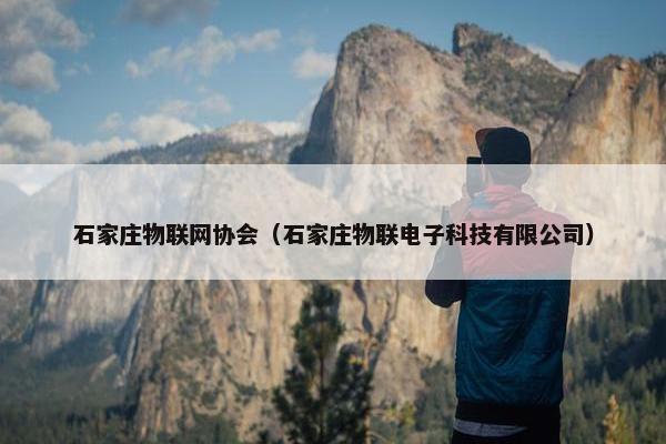 石家庄物联网协会（石家庄物联电子科技有限公司）