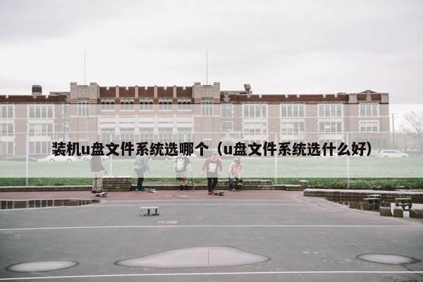装机u盘文件系统选哪个（u盘文件系统选什么好）