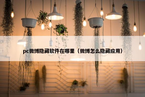 pc微博隐藏软件在哪里（微博怎么隐藏应用）