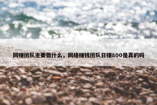 网赚团队主要做什么，网络赚钱团队日赚800是真的吗