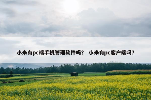 小米有pc端手机管理软件吗？ 小米有pc客户端吗？