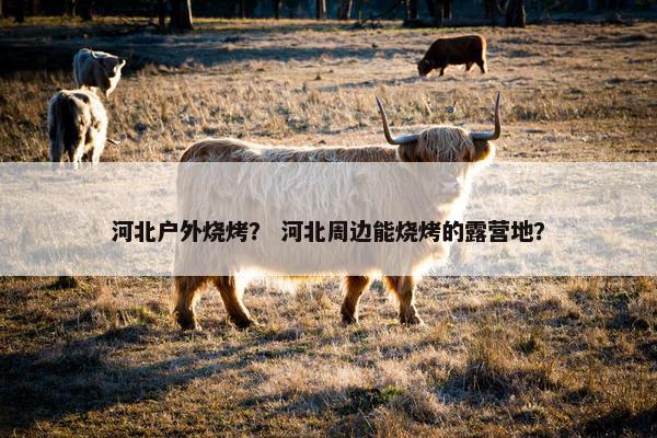 河北户外烧烤？ 河北周边能烧烤的露营地？