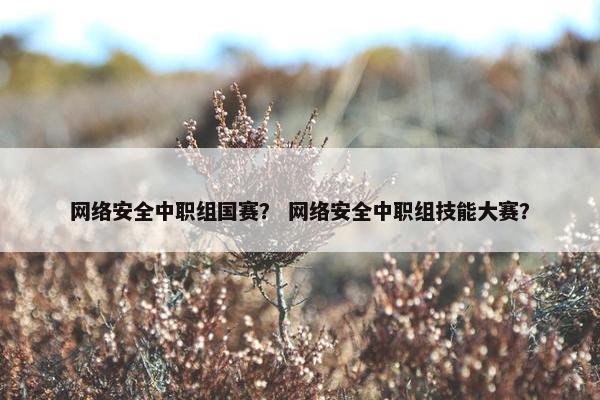 网络安全中职组国赛？ 网络安全中职组技能大赛？