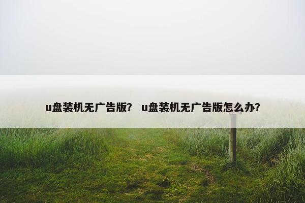 u盘装机无广告版？ u盘装机无广告版怎么办？