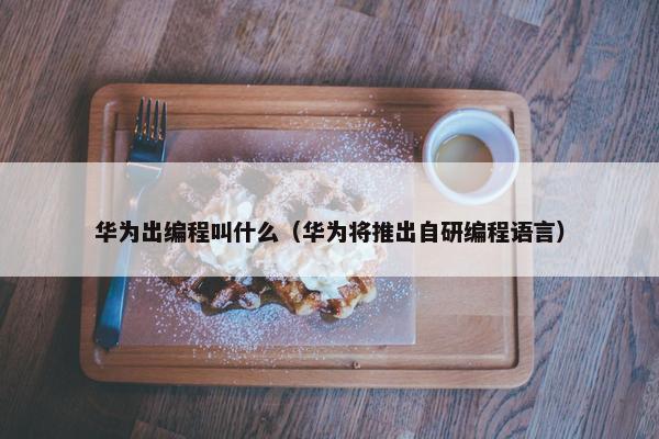 华为出编程叫什么（华为将推出自研编程语言）