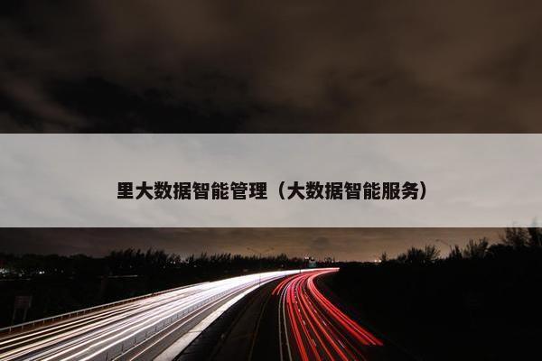 里大数据智能管理（大数据智能服务）