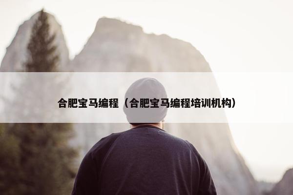 合肥宝马编程（合肥宝马编程培训机构）