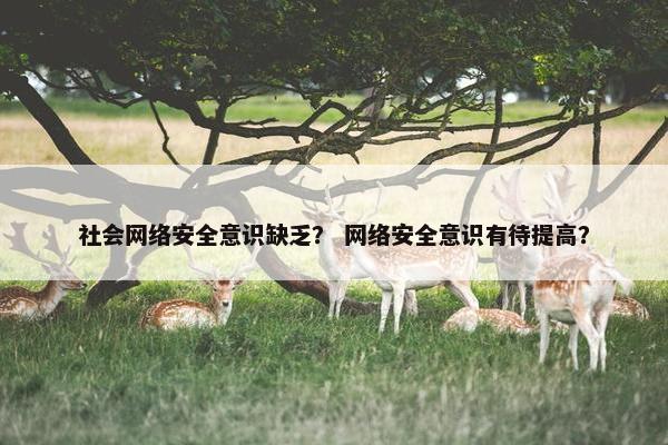 社会网络安全意识缺乏？ 网络安全意识有待提高？