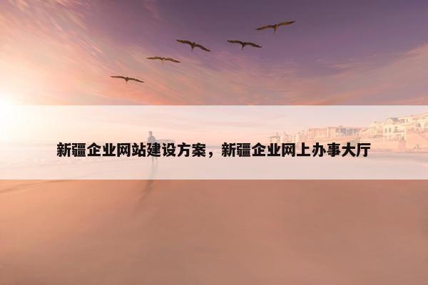 新疆企业网站建设方案，新疆企业网上办事大厅