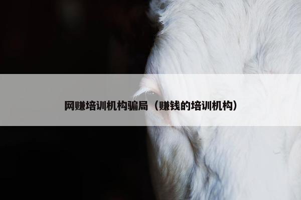 网赚培训机构骗局（赚钱的培训机构）