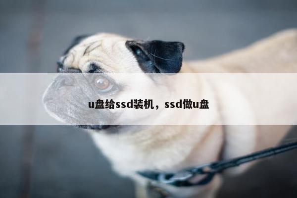 u盘给ssd装机，ssd做u盘