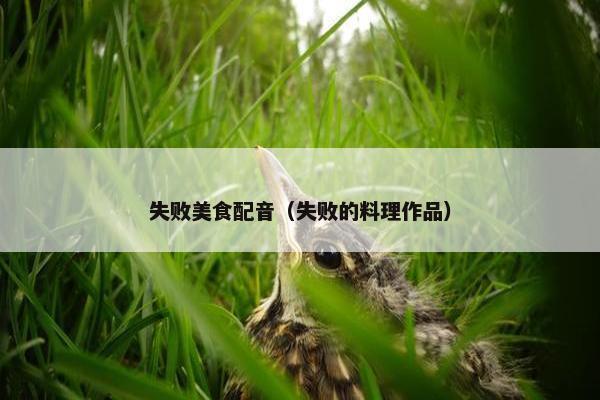 失败美食配音（失败的料理作品）