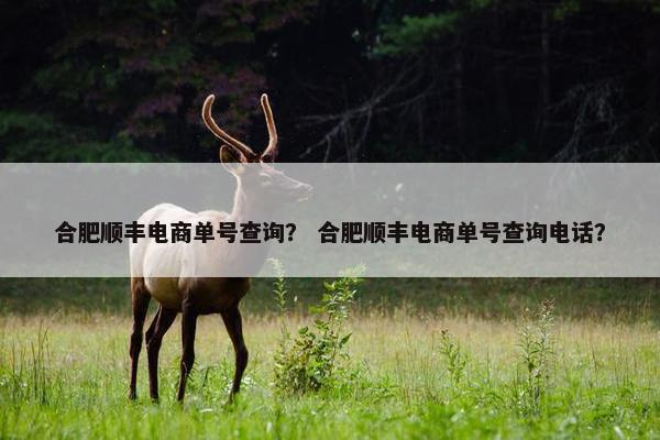 合肥顺丰电商单号查询？ 合肥顺丰电商单号查询电话？