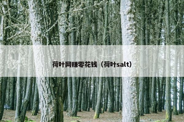 荷叶网赚零花钱（荷叶salt）