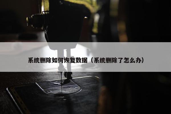 系统删除如何恢复数据（系统删除了怎么办）